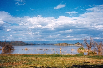 Lake Bogoria, Lake Baringo