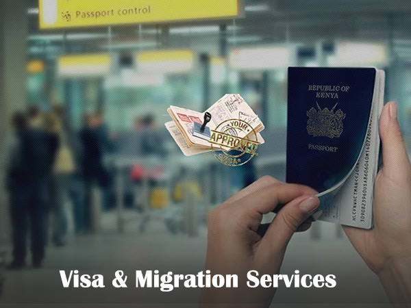 visamigration.jpg